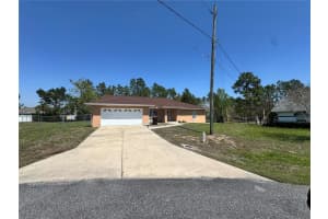 65 PECAN LOOP, OCALA, FL 34472 - MLS#MFROM721405