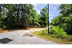 2797 GRAPEVINE COURT, DUNNELLON, FL 34433 - MLS#MFROM721442