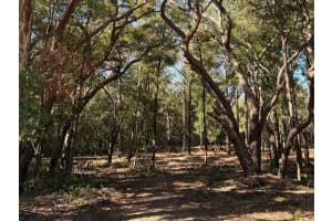 10686 OCEAN DRIVE, CITRUS SPRINGS, FL 34434 Sold 04/10/26