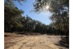 10686 OCEAN DRIVE, CITRUS SPRINGS, FL 34434 Sold 04/10/26