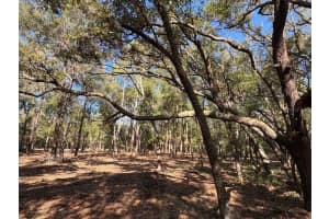 10686 OCEAN DRIVE, CITRUS SPRINGS, FL 34434 Sold 04/10/26