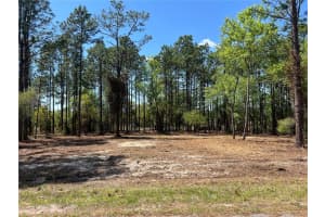 24 130 COURT, DUNNELLON, FL 34431 - MLS#MFROM721450