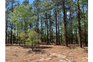 24 130 COURT, DUNNELLON, FL 34431 - MLS#MFROM721450