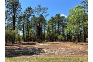 24 130 COURT, DUNNELLON, FL 34431 - MLS#MFROM721450