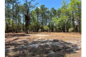 24 130 COURT, DUNNELLON, FL 34431 - MLS#MFROM721450