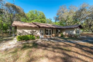 3005 160TH LANE ROAD, SUMMERFIELD, FL 34491 - MLS#MFROM721461