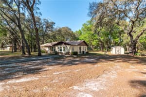 3005 160TH LANE ROAD, SUMMERFIELD, FL 34491 - MLS#MFROM721461