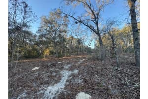 0 147TH STREET ROAD, OCALA, FL 34473 - MLS#MFROM721489