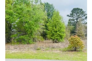 SW 83RD ST, DUNNELLON, FL 34431 - MLS#MFROM721493