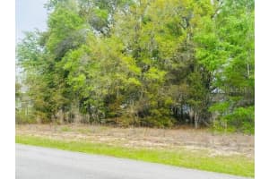 SW 83RD ST, DUNNELLON, FL 34431 - MLS#MFROM721493