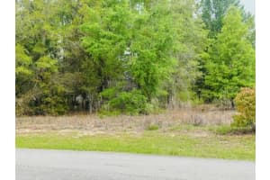 SW 83RD ST, DUNNELLON, FL 34431 - MLS#MFROM721493