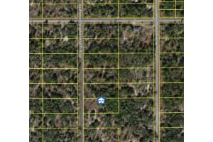 000 PARADISE HEIGHTS ROAD, DUNNELLON, FL 34431 - MLS#MFROM721525