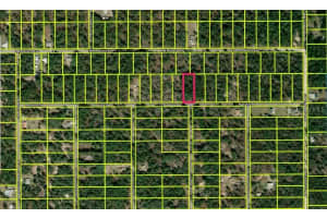 0000 RAINELLE ROAD, DUNNELLON, FL 34431 - MLS#MFROM721548