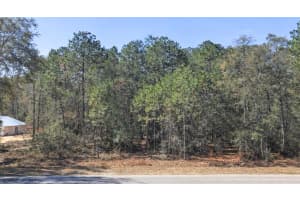 0000 RAINELLE ROAD, DUNNELLON, FL 34431 - MLS#MFROM721548