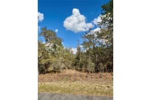 0000 HILLCREST AVENUE, DUNNELLON, FL 34431 - MLS#MFROM721567