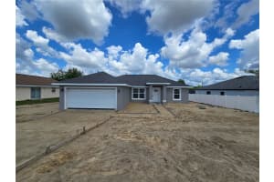 251 CHESTNUT ROAD, OCALA, FL 34480 - MLS#MFROM721604