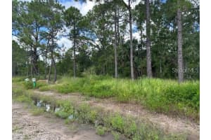 274 SPOONBILL DRIVE, KISSIMMEE, FL 34759 - MLS#MFROM721641