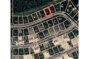 274 SPOONBILL DRIVE, KISSIMMEE, FL 34759 - MLS#MFROM721641