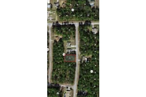 10924 DRAGONIS DRIVE, CITRUS SPRINGS, FL 34433 - MLS#MFROM721650