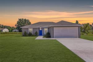 20193 83RD STREET, DUNNELLON, FL 34431 - MLS#MFROM721665