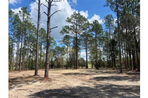 16 136 TERRACE, DUNNELLON, FL 34431 - MLS#MFROM721677