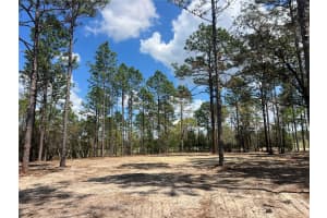 16 136 TERRACE, DUNNELLON, FL 34431 - MLS#MFROM721677