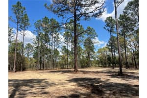 16 136 TERRACE, DUNNELLON, FL 34431 - MLS#MFROM721677