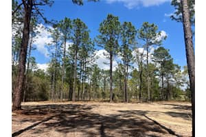 16 136 TERRACE, DUNNELLON, FL 34431 - MLS#MFROM721677