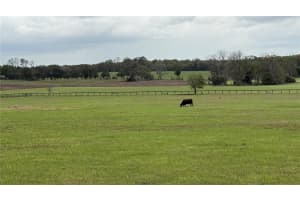 2700 210TH AVENUE, DUNNELLON, FL 34431 - MLS#MFROM721682