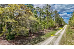 TBD SW 137TH COURT ROAD, DUNNELLON, FL 34432 - MLS#MFROM721709