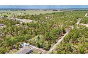 TBD SW 137TH COURT ROAD, DUNNELLON, FL 34432 - MLS#MFROM721709