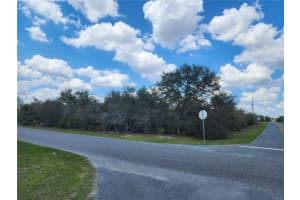 SW 110TH LN, OCALA, FL 34476 - MLS#MFROM721723