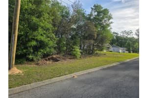 6659 GRAYSON STREET, INVERNESS, FL 34452 - MLS#MFROM721760