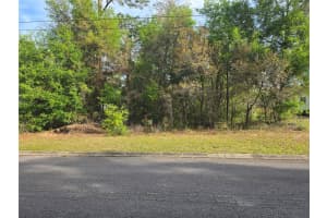 6659 GRAYSON STREET, INVERNESS, FL 34452 - MLS#MFROM721760