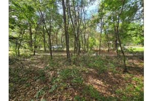 6659 GRAYSON STREET, INVERNESS, FL 34452 - MLS#MFROM721760