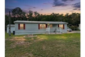 18400 90TH LANE, OCKLAWAHA, FL 32179 - MLS#MFROM721781