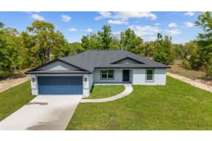 5 MALAUKA LOOP TRACK, OCKLAWAHA, FL 32179 - MLS#MFROM721829