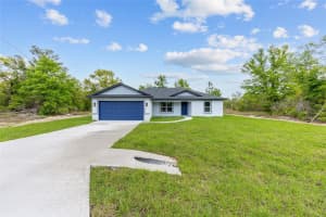 5 MALAUKA LOOP TRACK, OCKLAWAHA, FL 32179 - MLS#MFROM721829
