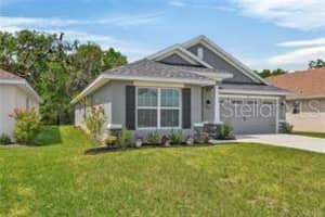 1137 HERON POINT DRIVE, INVERNESS, FL 34453 - MLS#MFROM721871