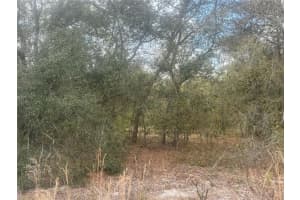 tbd 131ST TERRACE, DUNNELLON, FL 34431 - MLS#MFROM721876