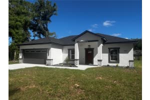 3981 142ND LANE, SUMMERFIELD, FL 34491 - MLS#MFROM721902