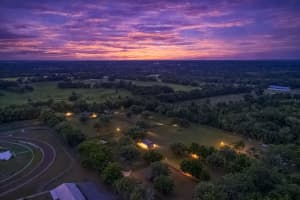 14650 160TH AVENUE, WILLISTON, FL 32696 - MLS#MFROM721919