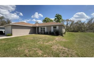 4110 132ND LANE, OCALA, FL 34473 - MLS#MFROM721958