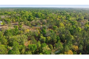 12701 96TH LANE, DUNNELLON, FL 34432 - MLS#MFROM722028