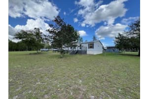 19231 NW HIGHWAY 335, WILLISTON, FL 32696 - MLS#MFROM722042