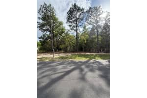 00 BAHIA COURT TRACK, OCALA, FL 34472 - MLS#MFROM722043