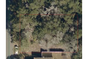 TBD LARCH COURSE, OCALA, FL 34480 - MLS#MFROM722054