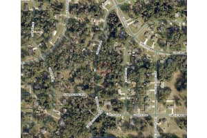 TBD LARCH COURSE, OCALA, FL 34480 - MLS#MFROM722054