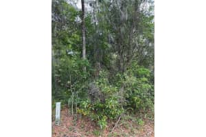 TBD LARCH COURSE, OCALA, FL 34480 - MLS#MFROM722054