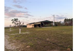 12451 20TH STREET, WILLISTON, FL 32696 - MLS#MFROM722076